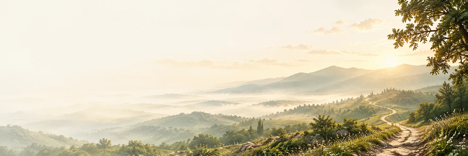 Soft green hills under a pale morning sky